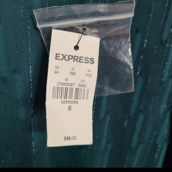 Express  Chiffon Ruffle Long Sleeve Dress Green Shimmer Medium - Picture 2 of 3
